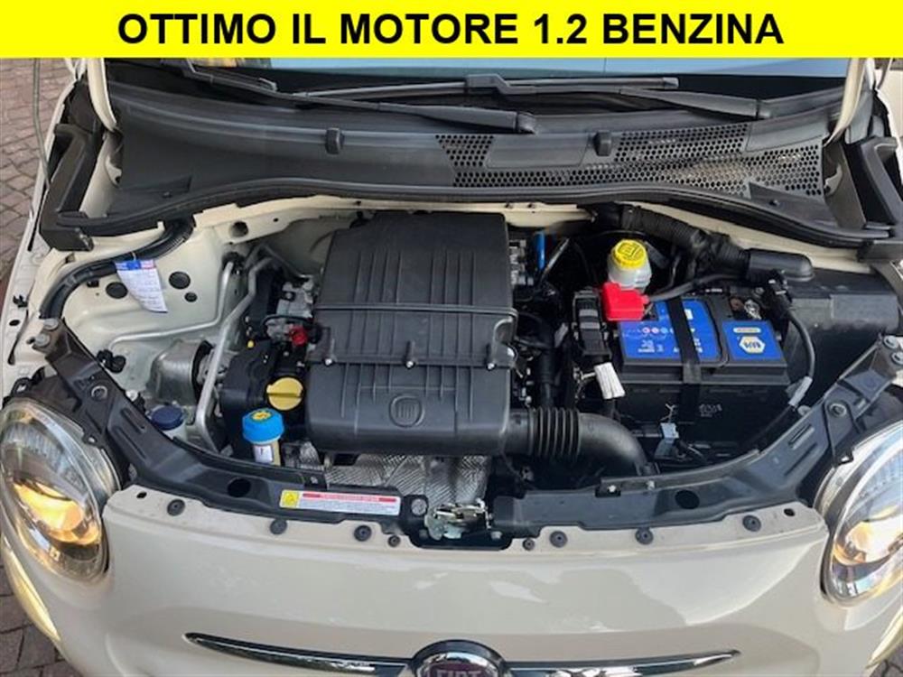 500 500 1.2 Collezione