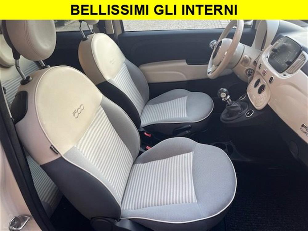 500 500 1.2 Collezione