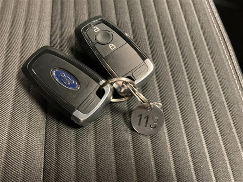 EcoSport EcoSport 1.5 Diesel Ecoblue T