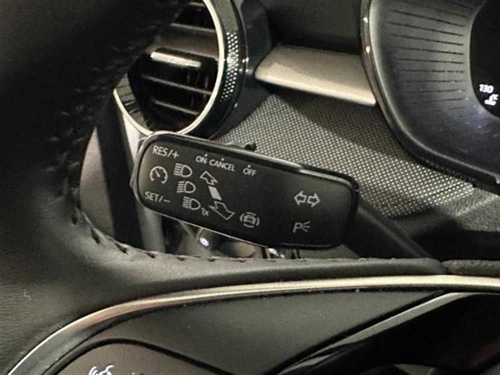 Fabia Fabia 1.0 TSI 95 CV Young