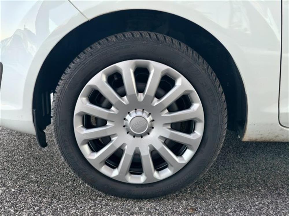 Fiesta Fiesta 1.2 60CV 5 porte Tit