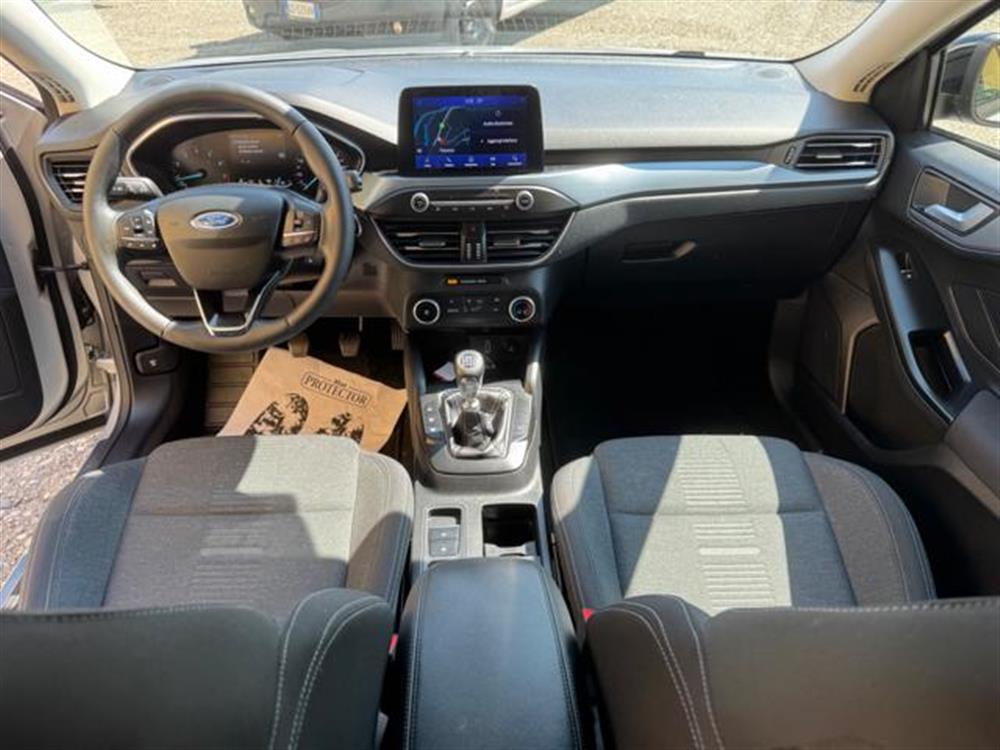 Focus Focus SUPER BLACK FRIDAY!!