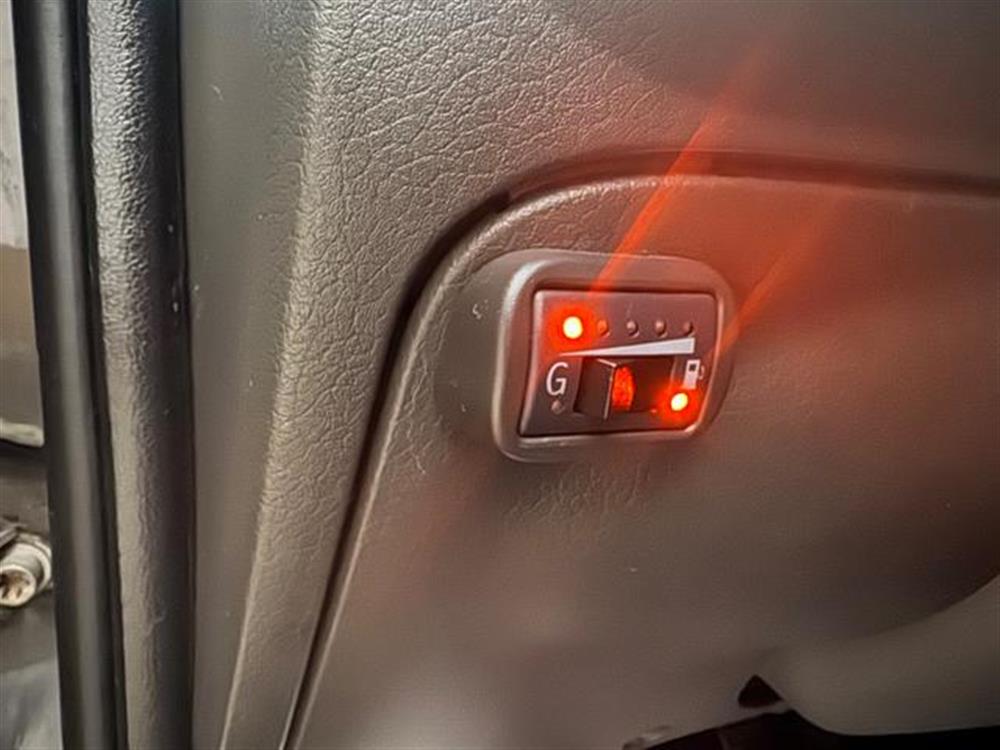 Panda Panda 1.2 Dynamic Natural