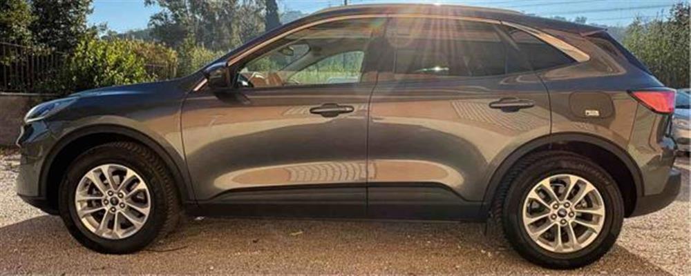 Kuga Kuga 2.0 EcoBlue 120 CV a