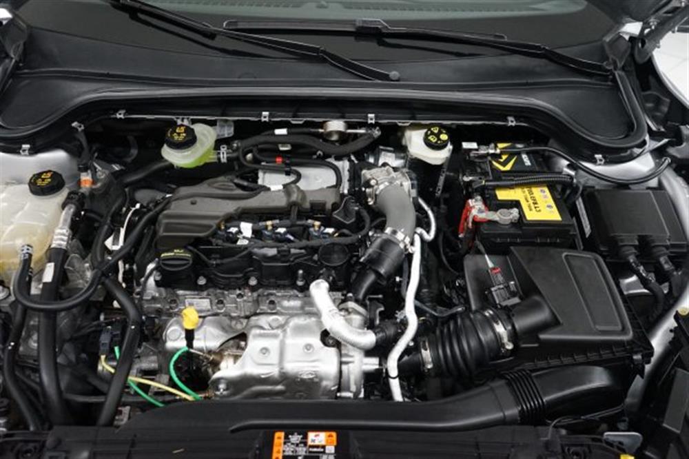 Focus Focus 1.5 EcoBlue 115 CV a