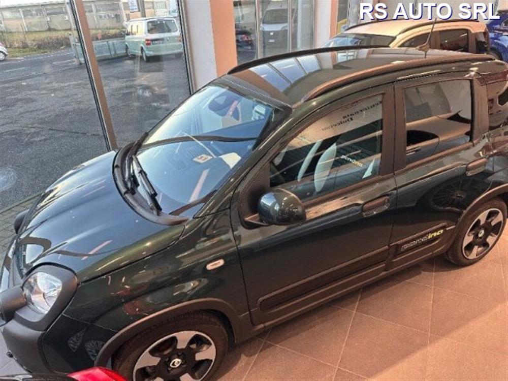 Panda Panda Panda 1.0 FireFly S&