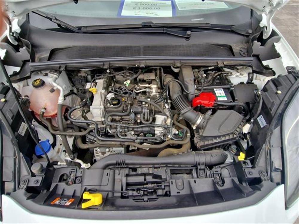 Puma Puma 1.0 EcoBoost Hybrid