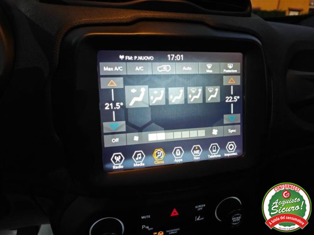 Renegade Renegade 1.6 Mjt 130 CV 80th