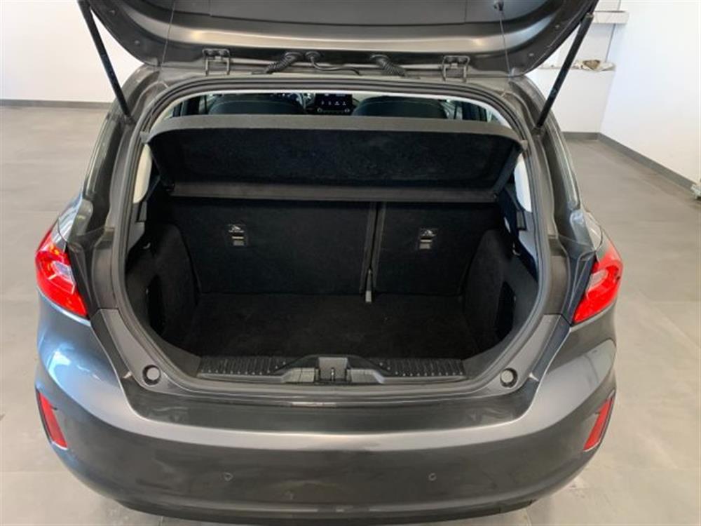 Fiesta Fiesta 1.1 Benzina Titanium