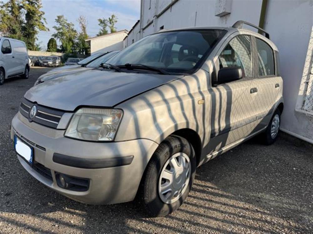 Panda Panda 1.2 Dynamic