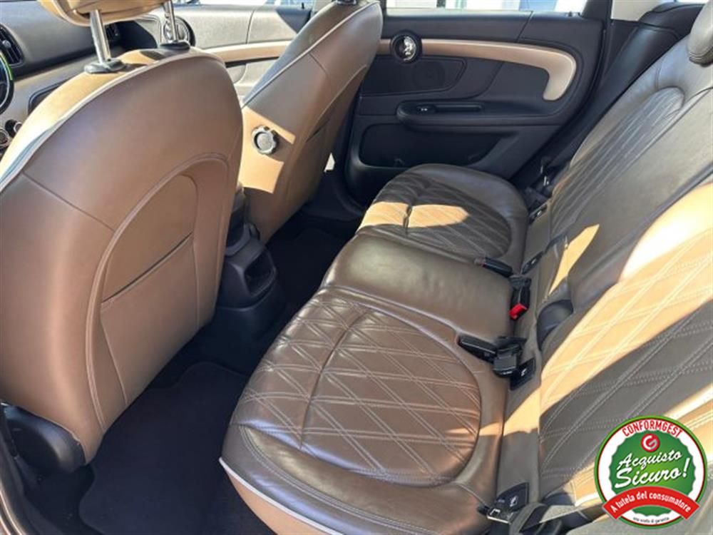 Countryman Countryman Cooper SE Plug In Co