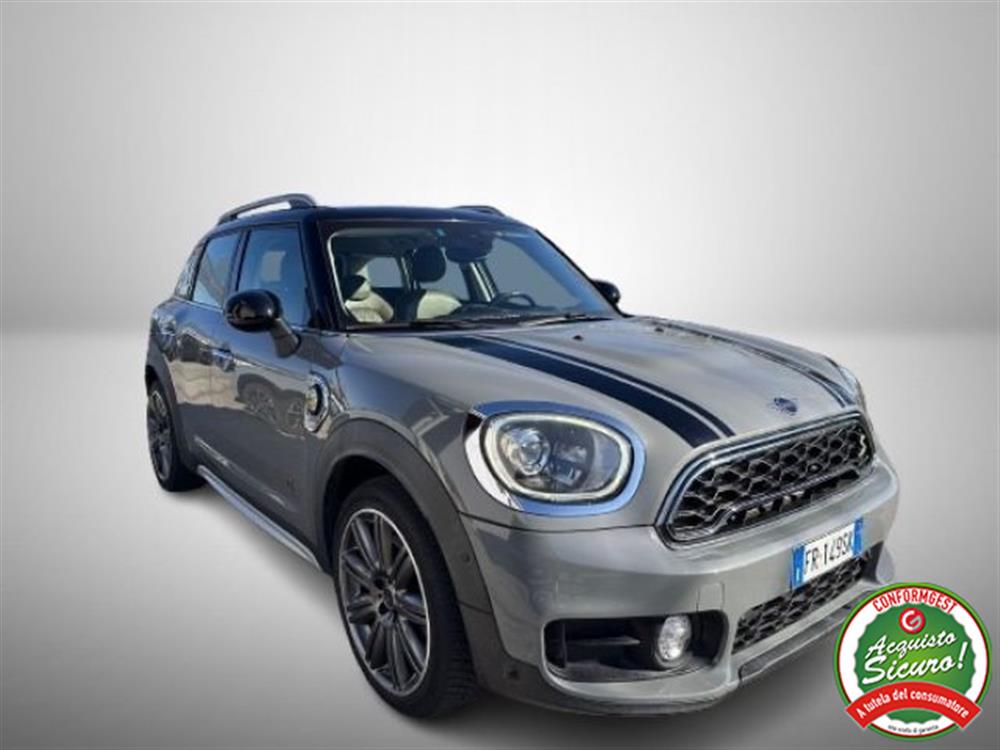 Countryman Countryman Cooper SE Plug In Co