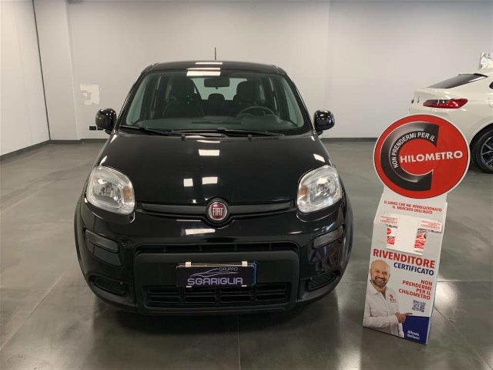 Panda Panda 1.0 Benzina Hybrid C