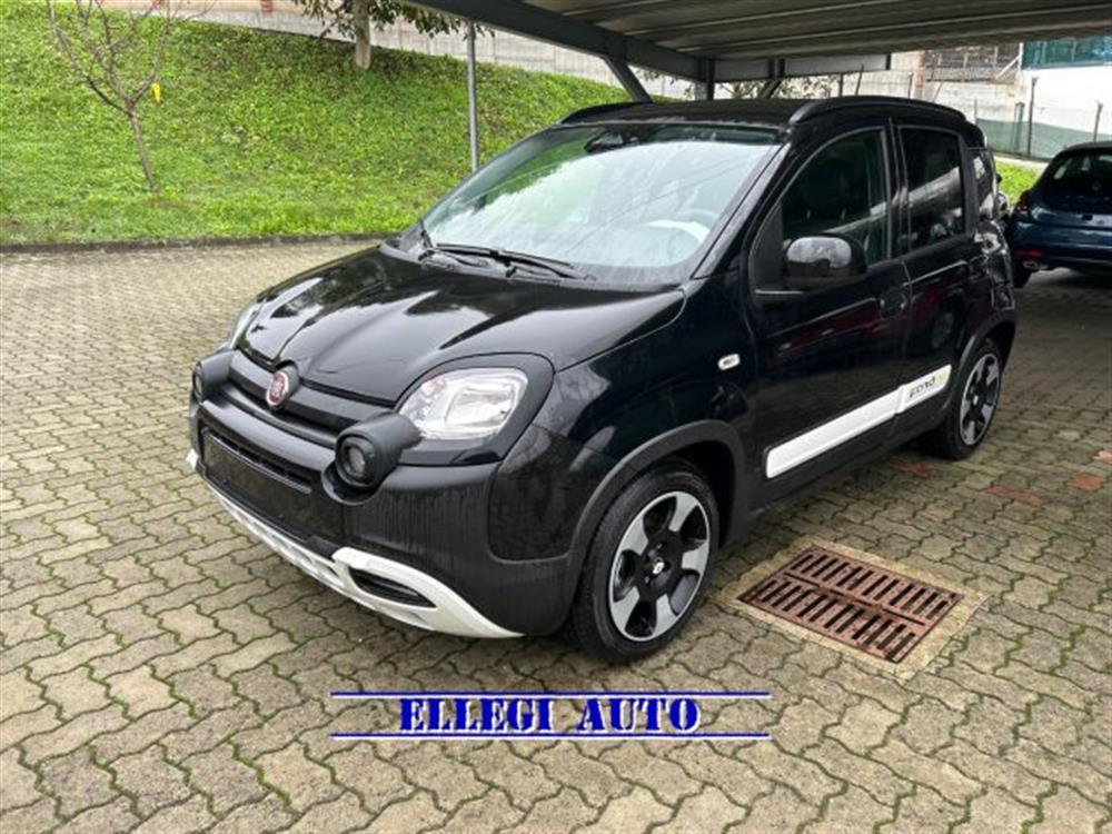 Pandina Pandina PROMO FIN. PANDINA