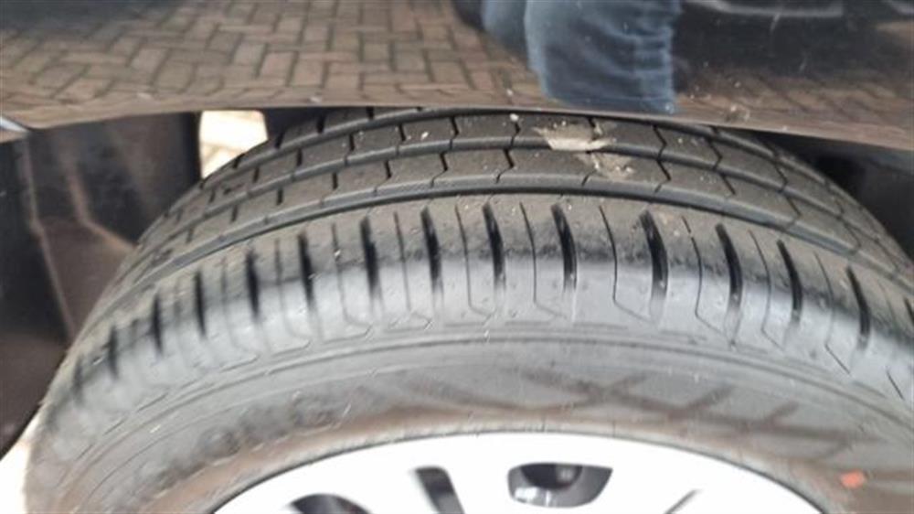 Panda Panda 1.2 Easy