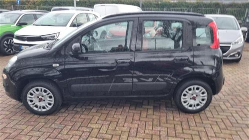 Panda Panda 1.2 Easy