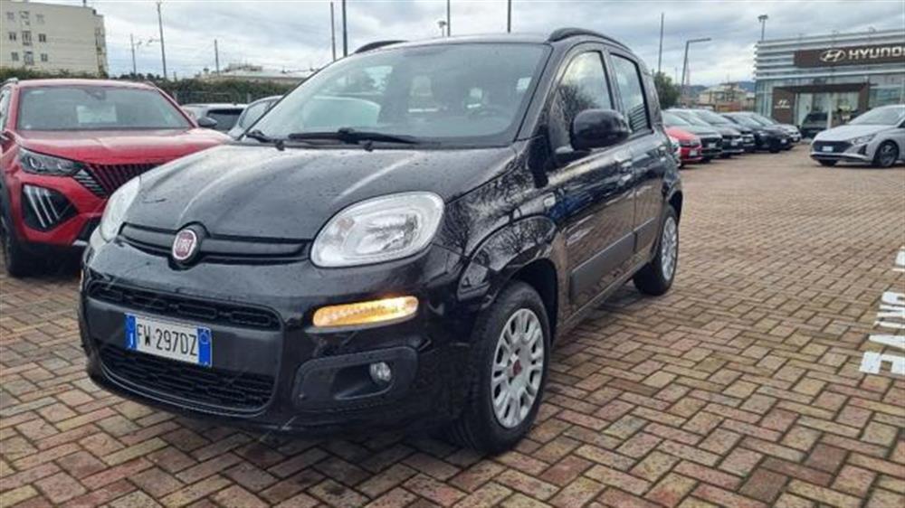 Panda Panda 1.2 Easy