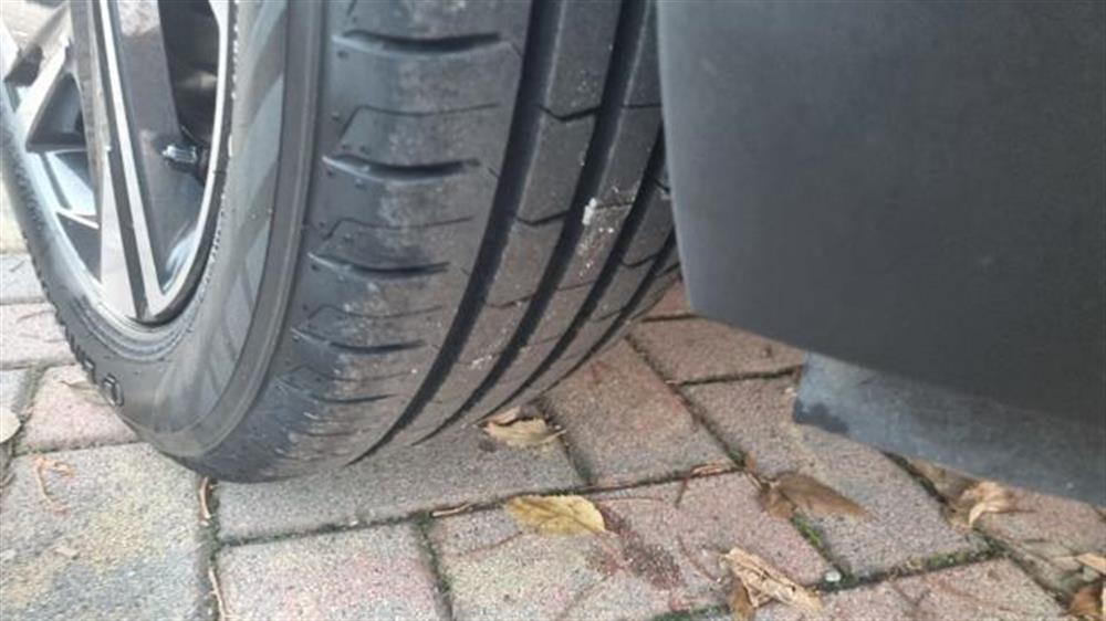 Bayon Bayon 1.2 GPL MT XLine