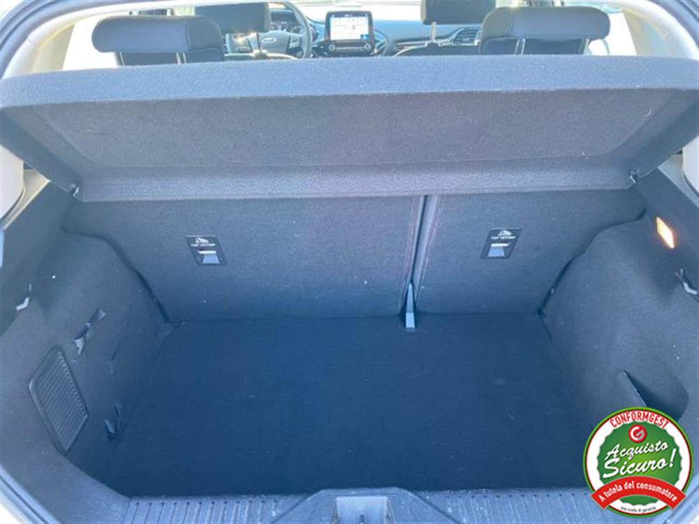 Fiesta Fiesta 1.1 5 porte Plus