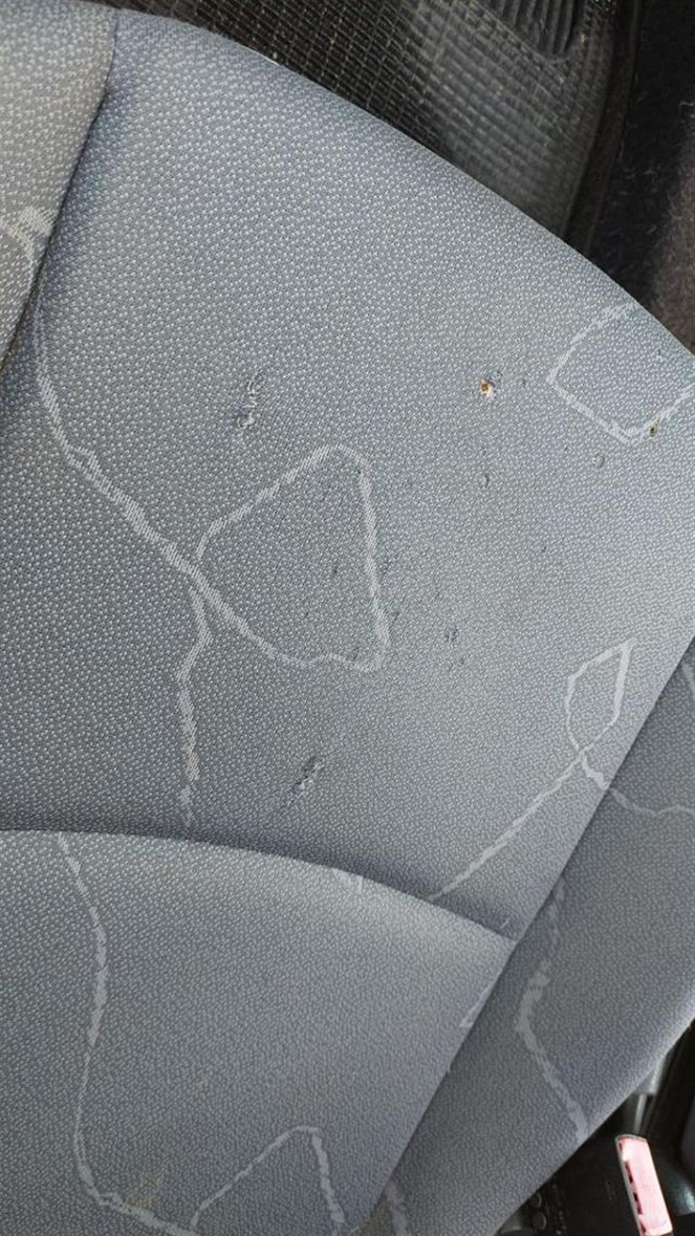 ForTwo ForTwo 700 Coupé Passion (4