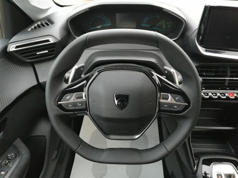 208 208 Hybrid 110 CV e-DCS6