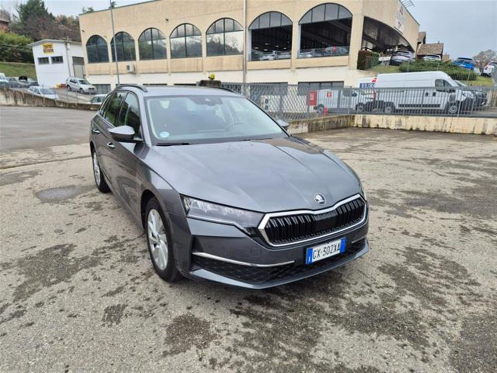 Octavia Octavia 2.0 TDI 150 CV DSG W