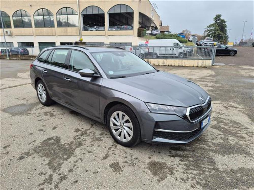 Octavia Octavia 2.0 TDI 150 CV DSG W