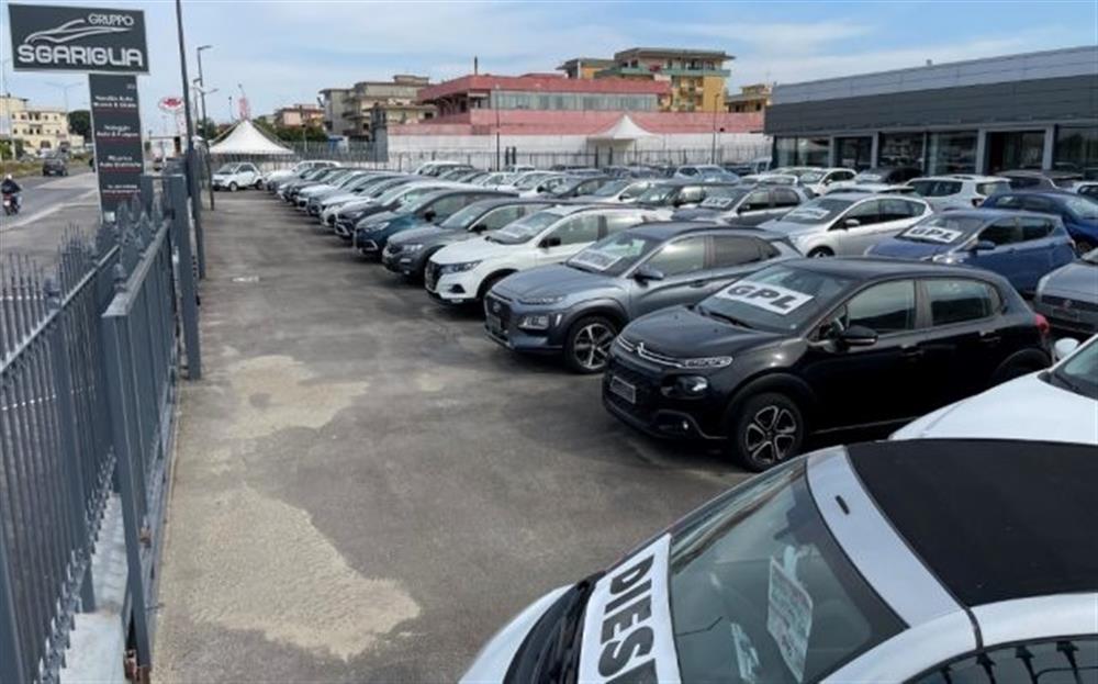 Panda Panda 1.2 Lounge