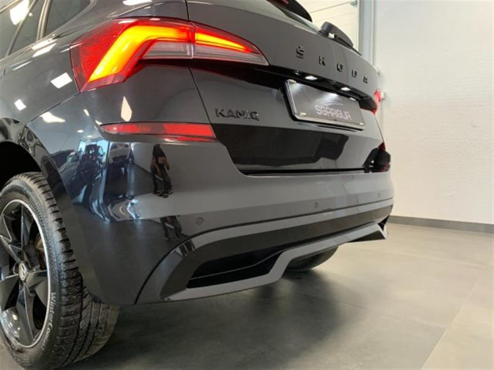 Kamiq Kamiq Monte Carlo Tetto Pa