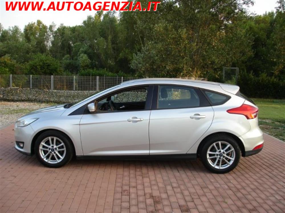 Focus Focus 1.5 TDCi 120 CV Star