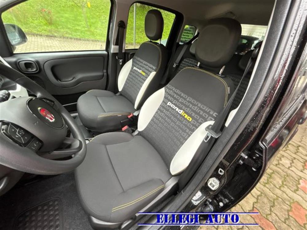 Pandina Pandina PROMO FIN. PANDINA