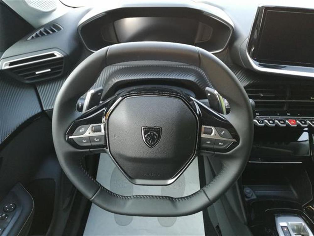 208 208 Hybrid 110 CV e-DCS6