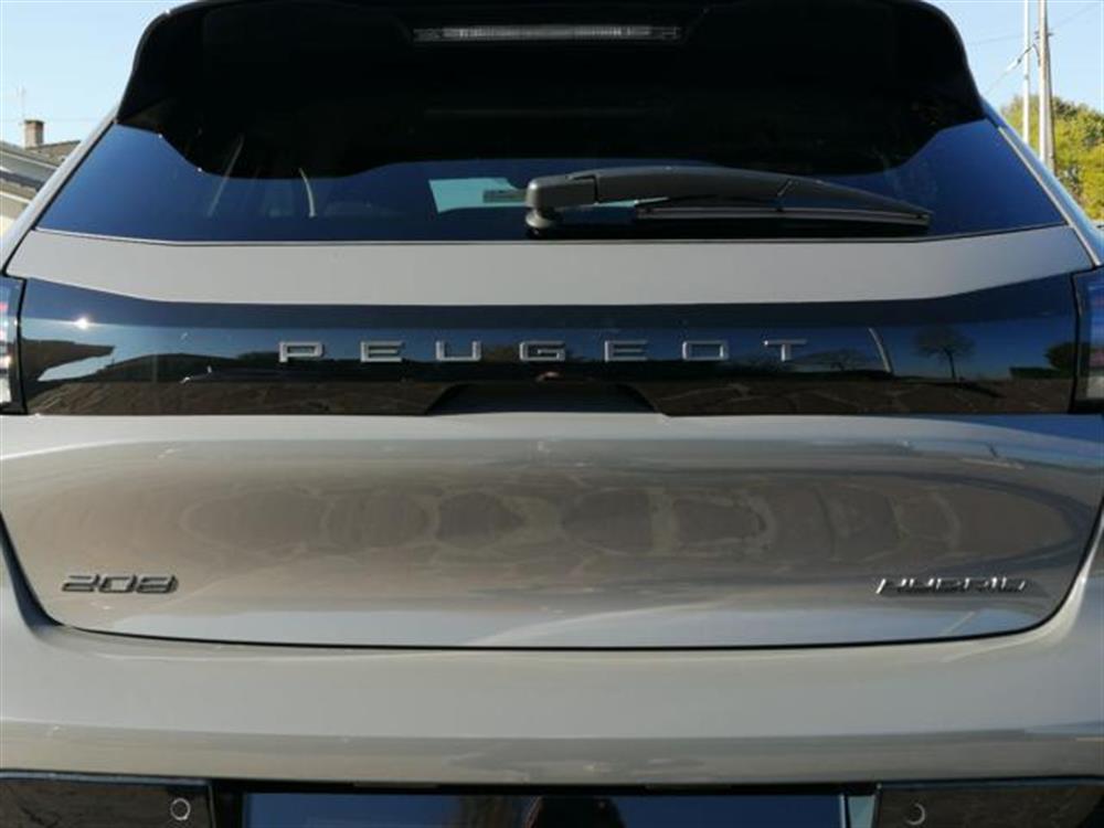 208 208 Hybrid 110 CV e-DCS6