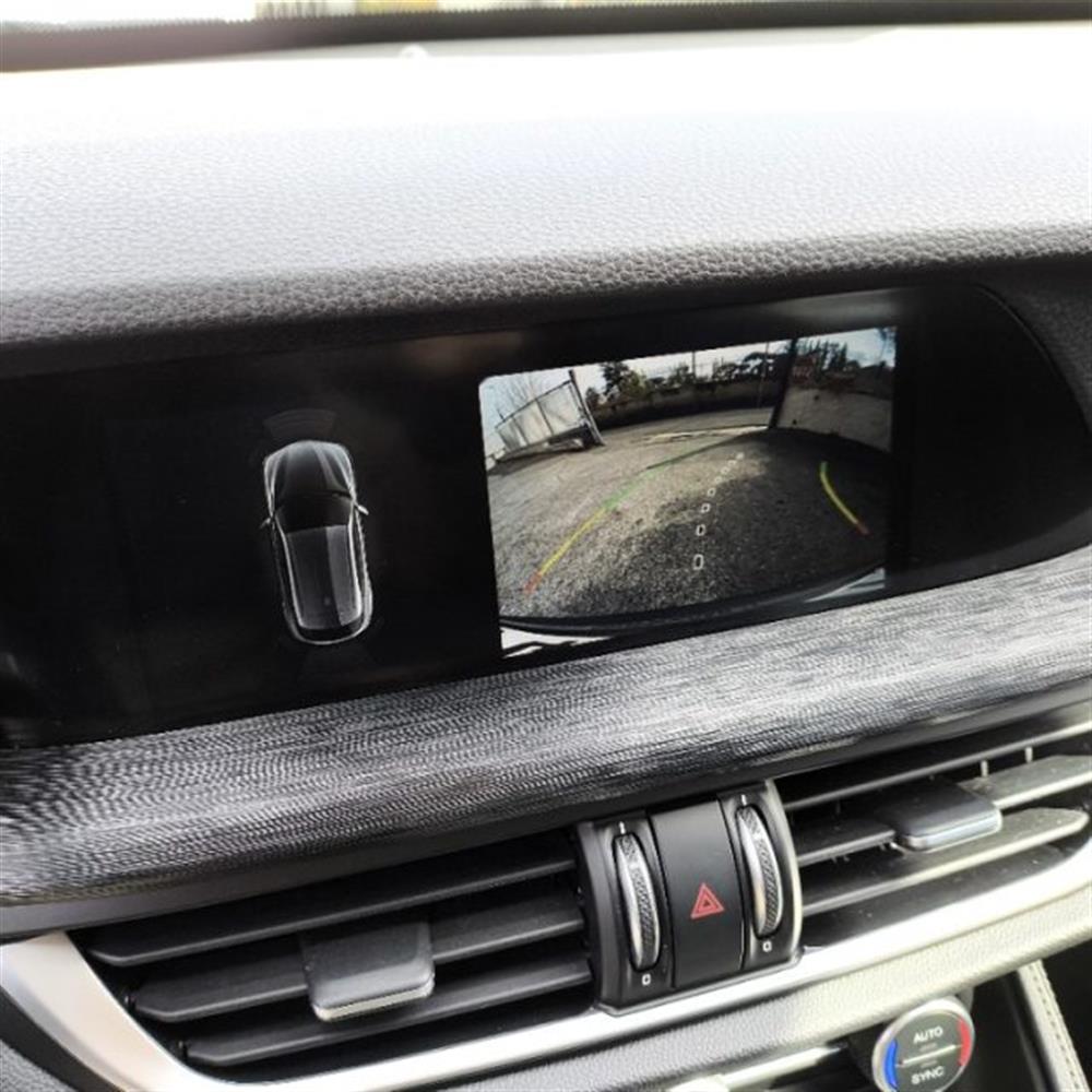 Stelvio Stelvio 2.2 TD 190 CV AT8 Q4