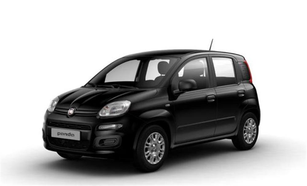 Pandina Pandina 1.0 FireFly 65 CV Hy