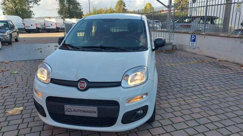 Panda Panda 1.0 GSE S&S Hybrid P