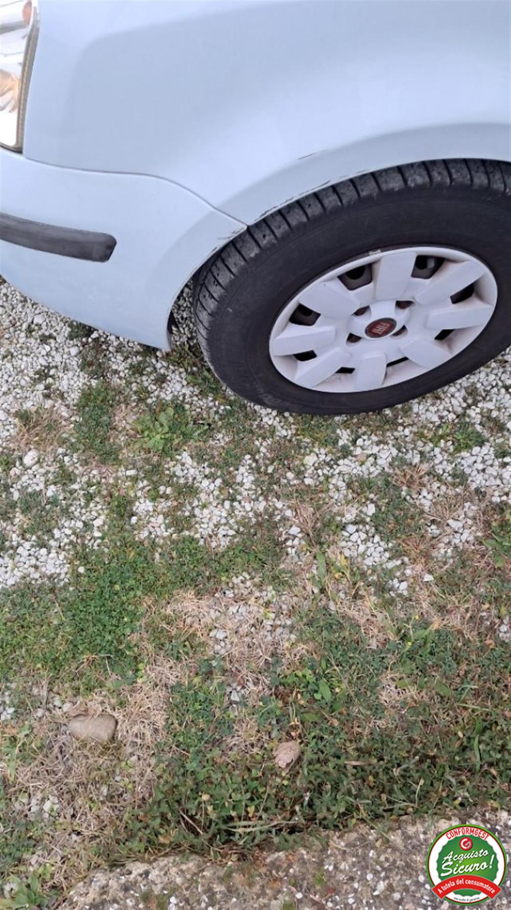 Panda Panda 1.2 Dynamic