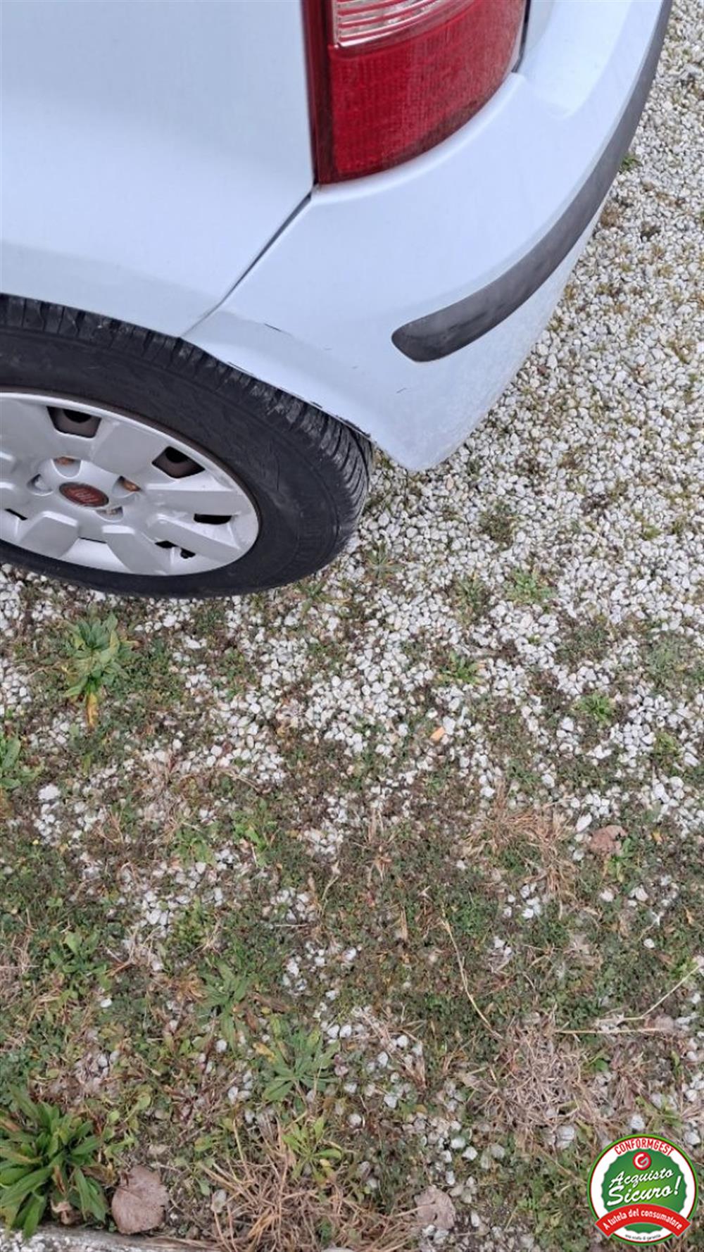 Panda Panda 1.2 Dynamic