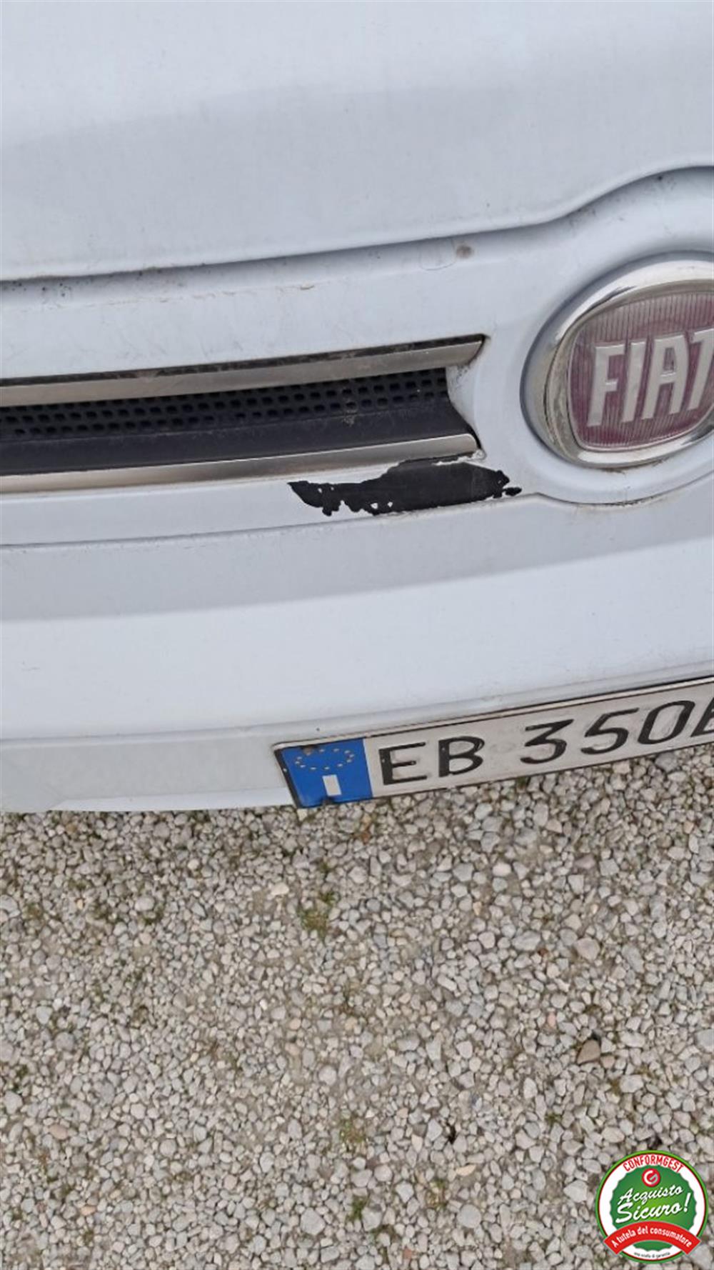 Panda Panda 1.2 Dynamic