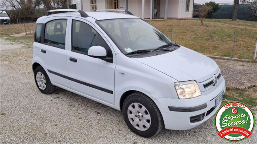 Panda Panda 1.2 Dynamic