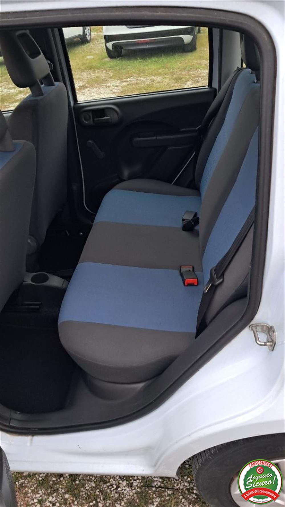 Panda Panda 1.2 Dynamic