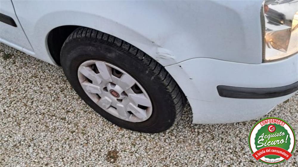 Panda Panda 1.2 Dynamic