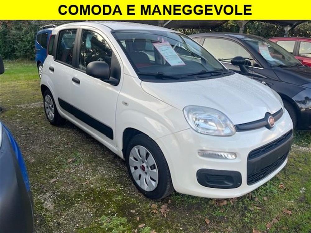 Panda Panda 1.2 White Edition