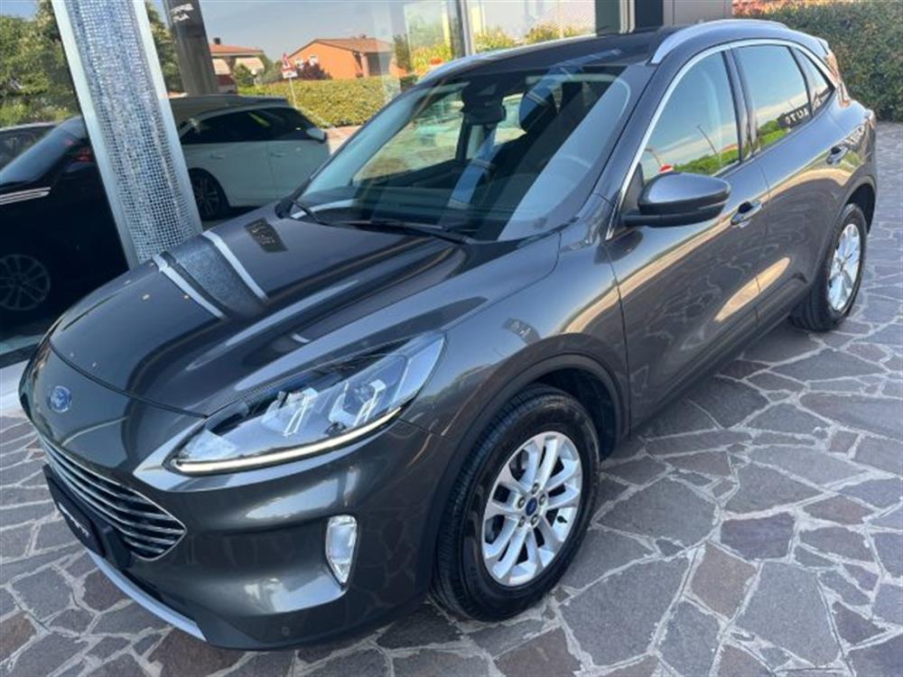 Kuga Kuga 1.5 EcoBlue 120CV AU