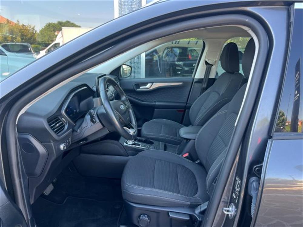 Kuga Kuga 1.5 EcoBlue 120CV AU