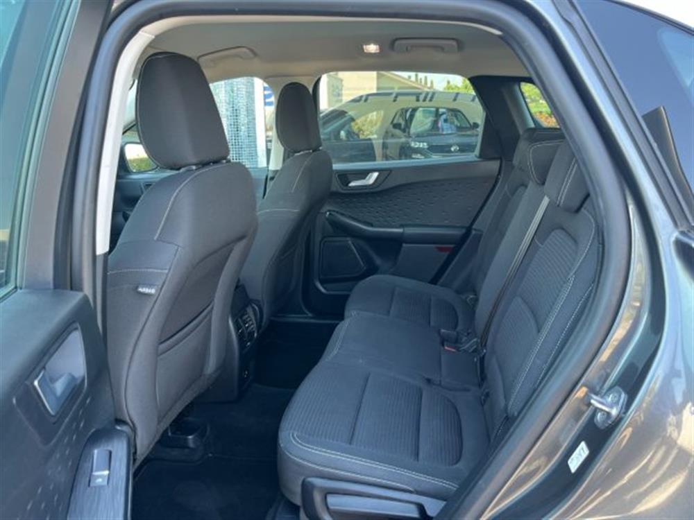 Kuga Kuga 1.5 EcoBlue 120CV AU