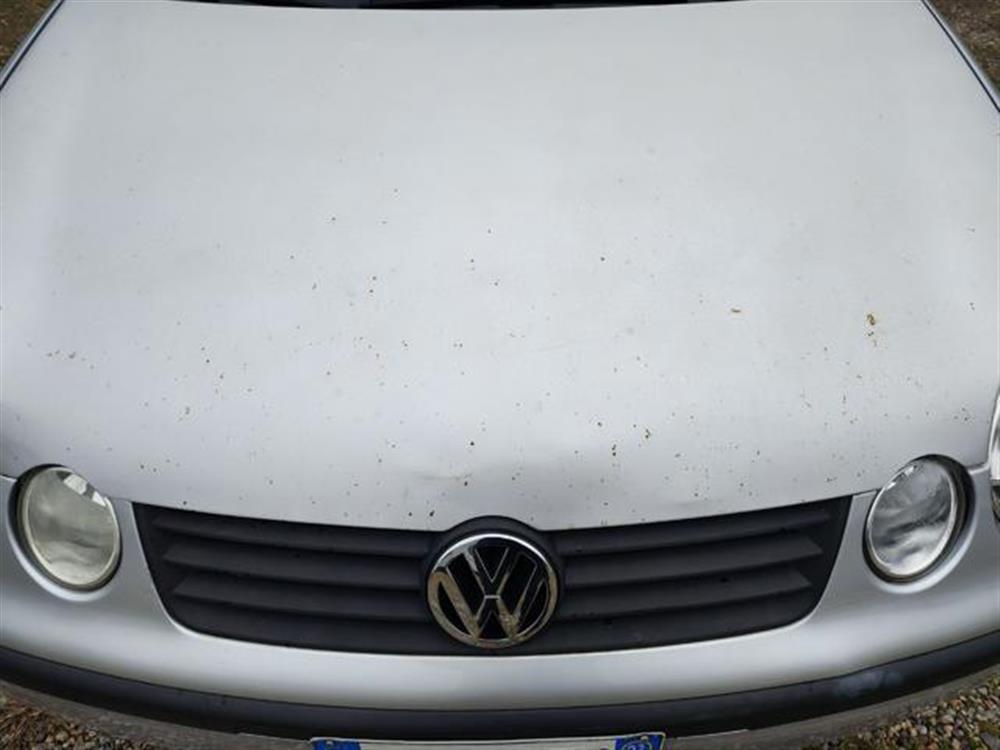 Polo Polo 1.4 16V 5p. Comfortl