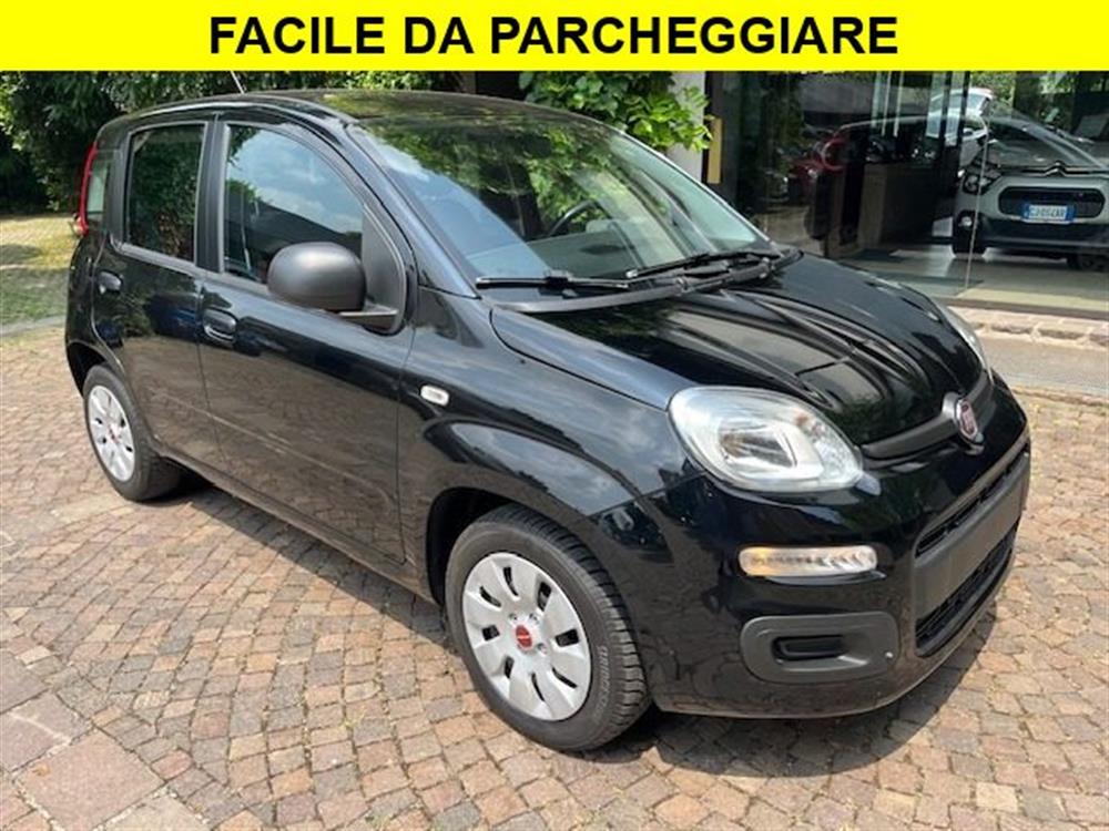 Panda Panda 1.2 Benzina euro6 Ne