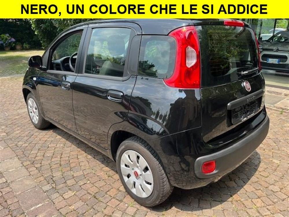 Panda Panda 1.2 Benzina euro6 Ne