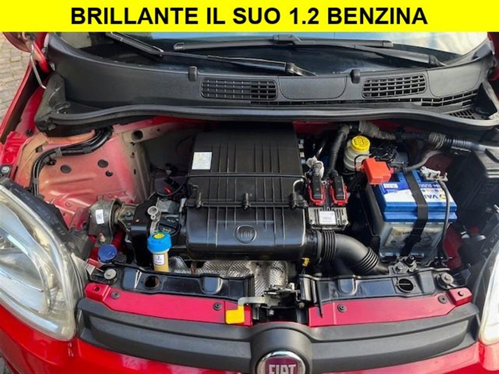 Panda Panda 1.2 Red Edition